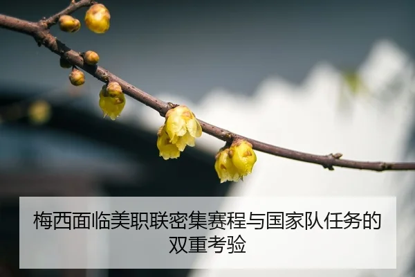 mei-xi-mian-lin-mei-zhi-lian-mi-ji-sai-cheng-yu-guo-jia-dui-ren-wu-de-shuang-chong-kao-yan-3-814.jpg