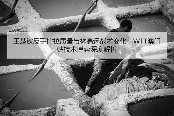 王楚钦反手拧拉质量与林高远战术变化：WTT澳门站技术博弈深度解析