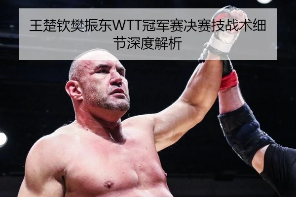 王楚钦樊振东WTT冠军赛决赛技战术细节深度解析
