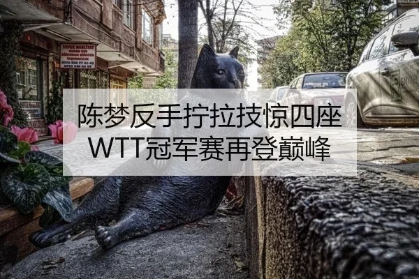 陈梦反手拧拉技惊四座 WTT冠军赛再登巅峰