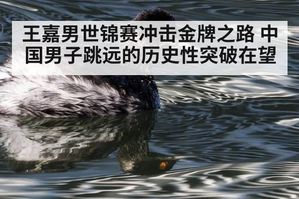 王嘉男世锦赛冲击金牌之路 中国男子跳远的历史性突破在望